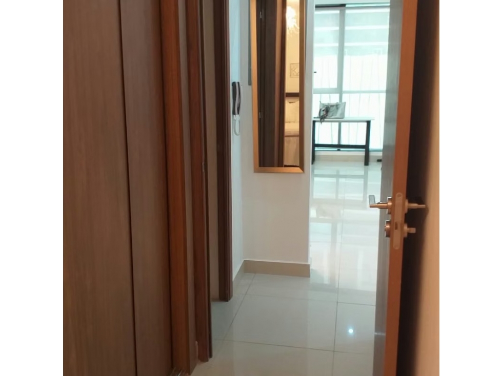 Apartamento Remodelado y Amueblado Calle Tranquila y Segura, Obarrio — foto 4