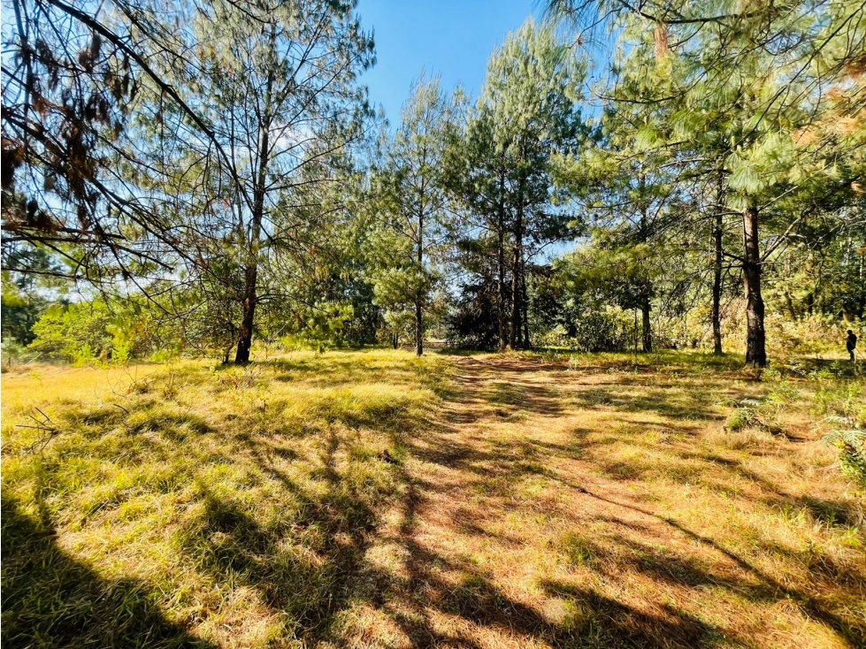 RANCHO SAN RAMON - 5