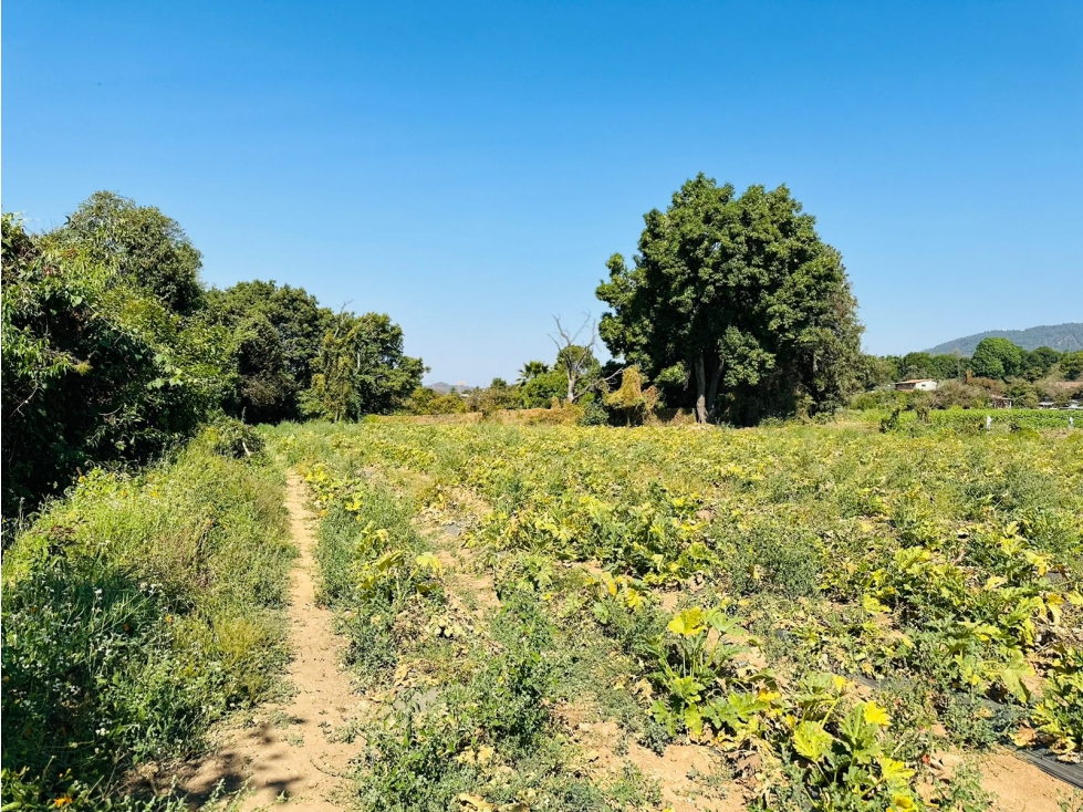 TERRENO CON VISTA PANORAMICA — foto 3
