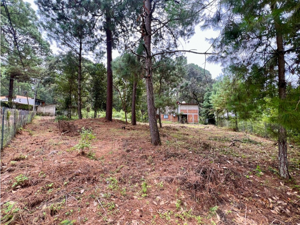 TERRENO EN VENTA CERCA DEL CLUB DE GOLF — foto 5