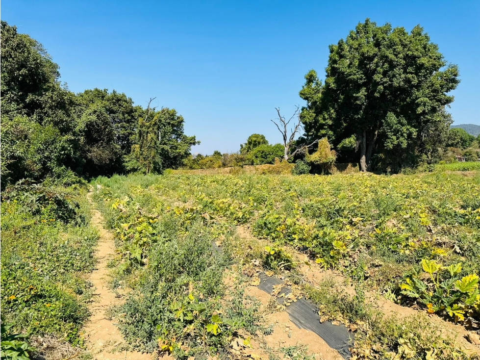 TERRENO CON VISTA PANORAMICA — foto 4