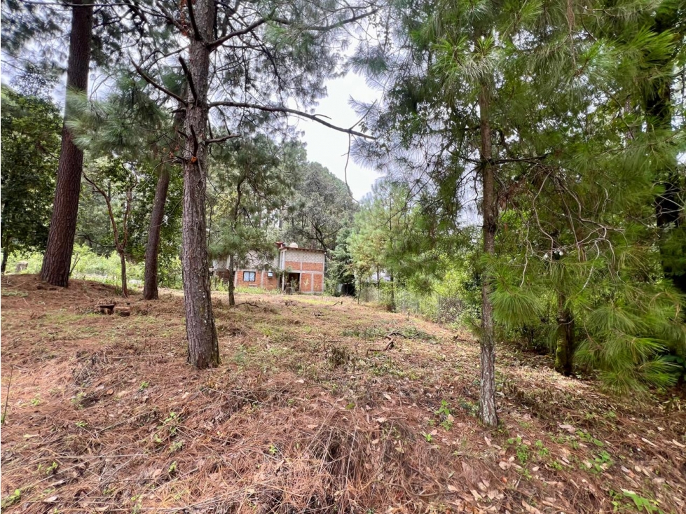 TERRENO EN VENTA CERCA DEL CLUB DE GOLF — foto 6