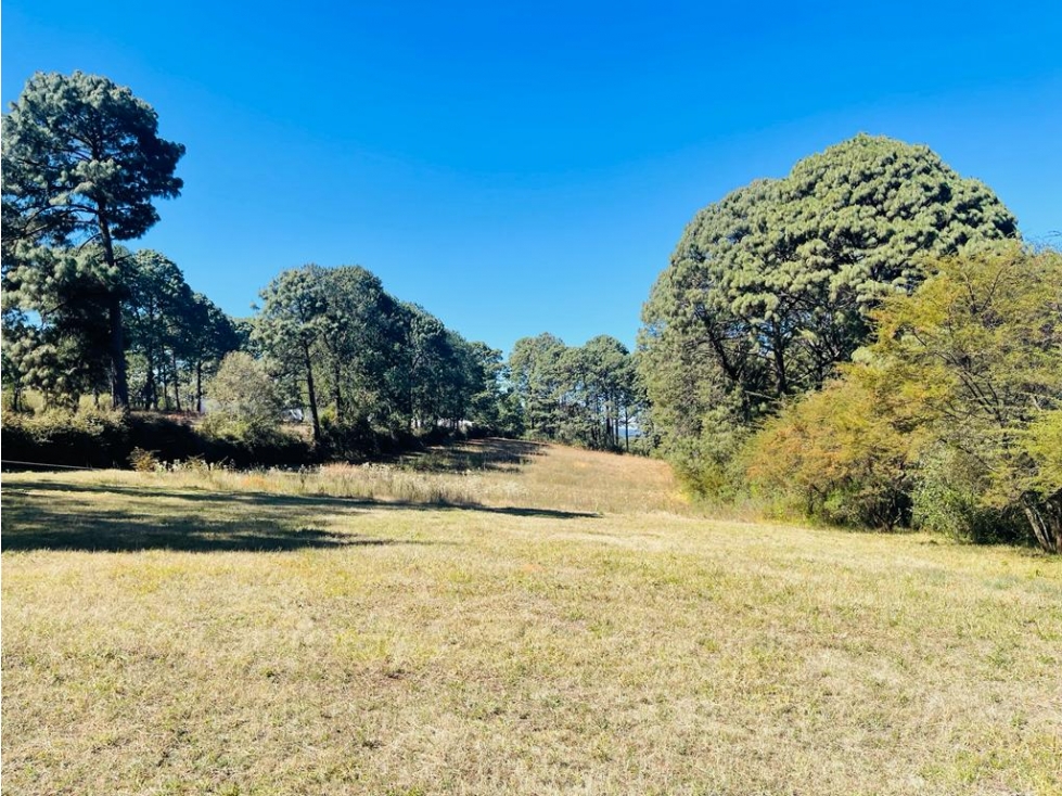 TERRENO CERRO COLORADO — foto 2