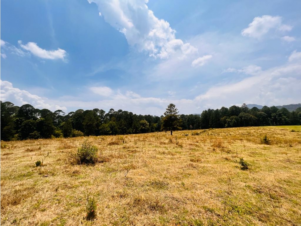 TERRENO EN VENTA EN VALLE DE BRAVO, SAUCOS. - 1