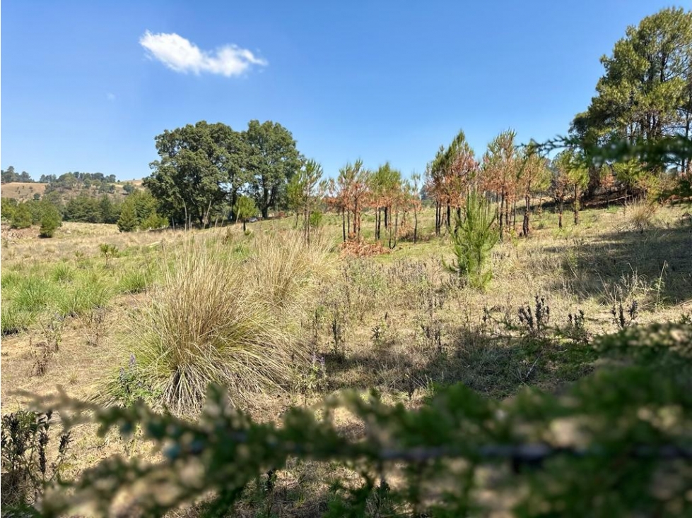 TERRENO EN VENTA EN SAN BARTOLO — foto 2
