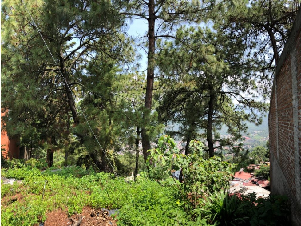 TERRENO MISIÓN — foto 2
