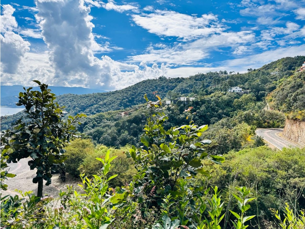 TERRENO DENTRO DE EL SANTUARIO