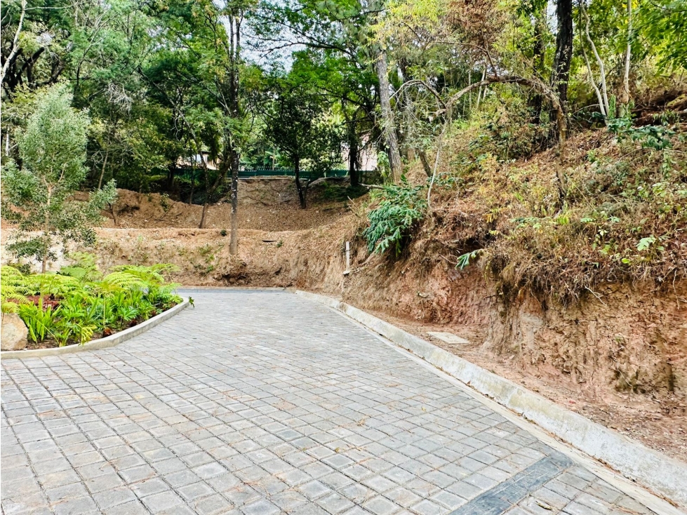 VENTA DE LOTES PRIVADA COPORITO — foto 2