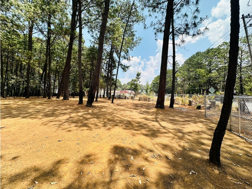 TERRENO CV — foto 2