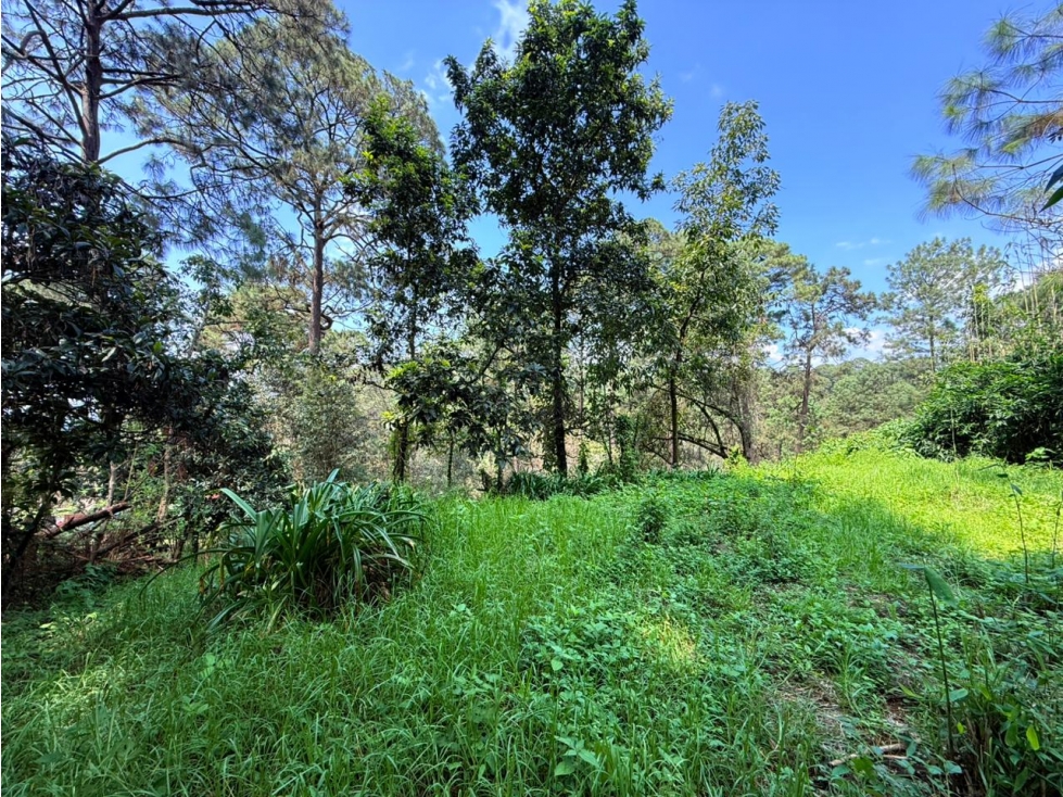 TERRENO CIRCUITO