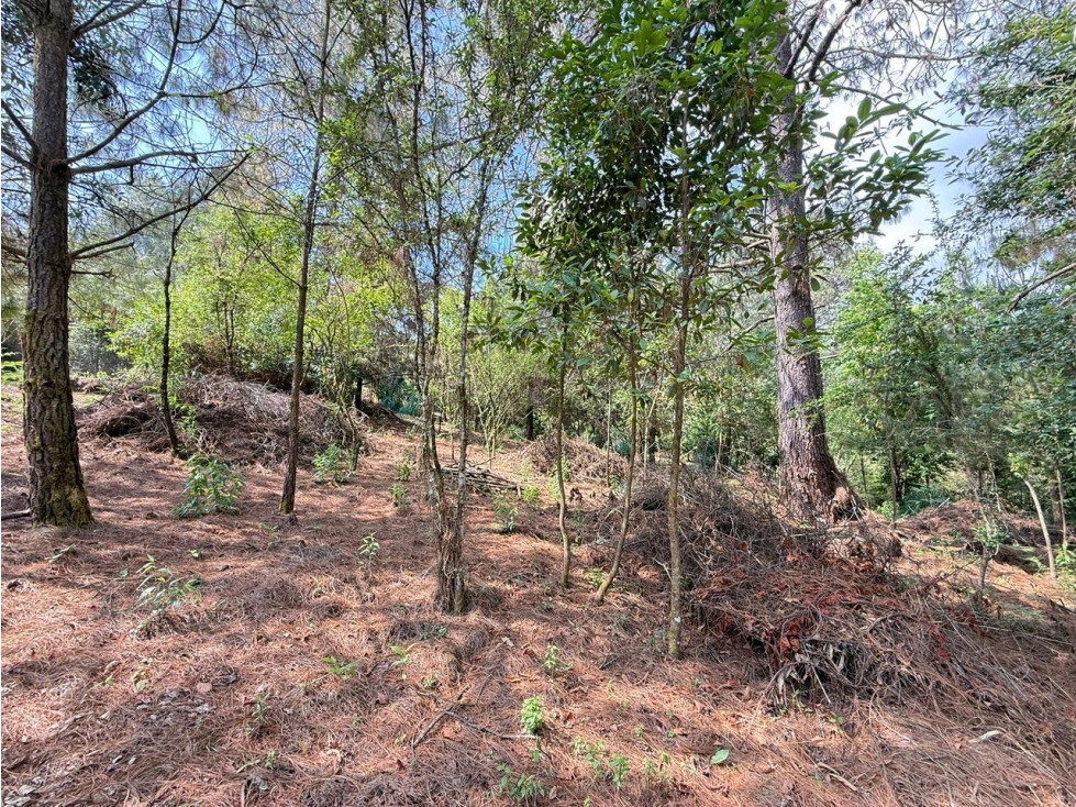 LOTE VALLE SANTANA — foto 5