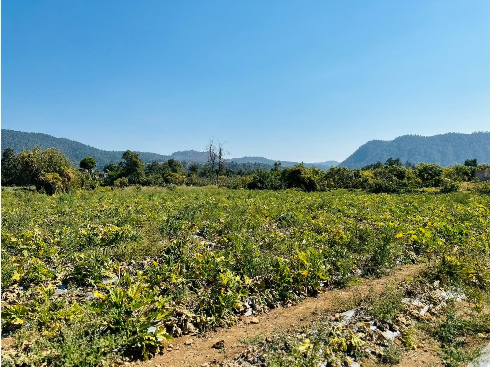 TERRENO CON VISTA PANORAMICA — foto 6