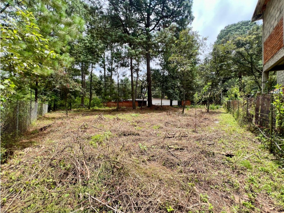 TERRENO EN VENTA CERCA DEL CLUB DE GOLF — foto 3