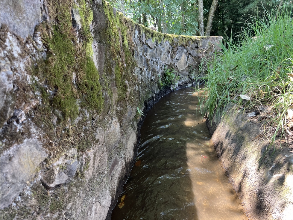 TERRENO EN VENTA SAN RAMÓN CON AGUA DE RIEGO — foto 5