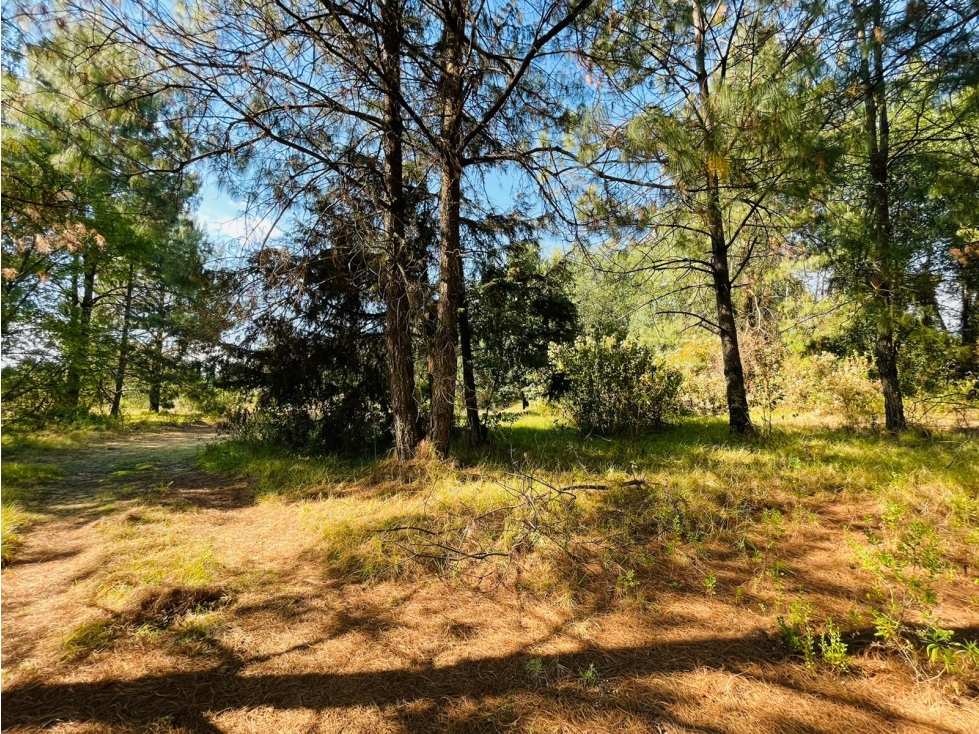 RANCHO SAN RAMON - 4
