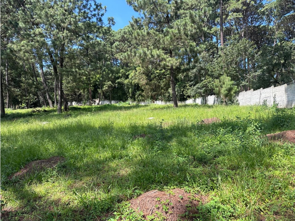 TERRENO EN AVANDARO de 5,675 m2. VISTA AL BOSQUE.