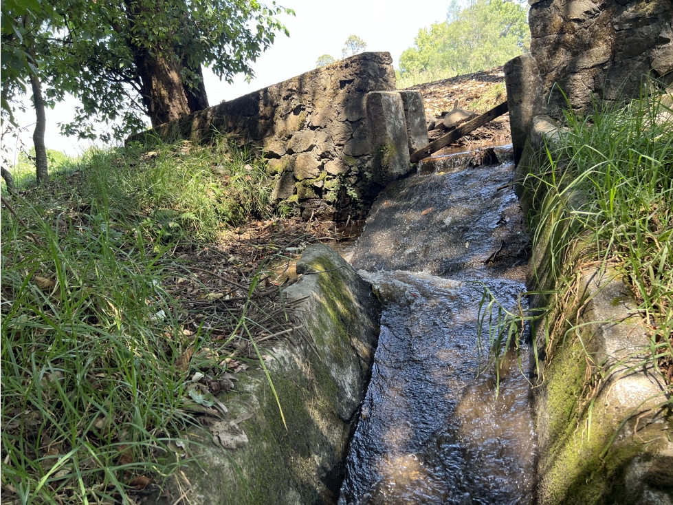 TERRENO EN VENTA SAN RAMÓN CON AGUA DE RIEGO — foto 3