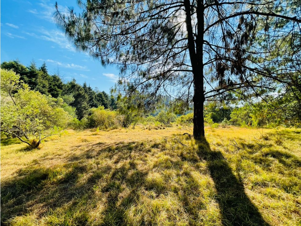 RANCHO SAN RAMON - 2