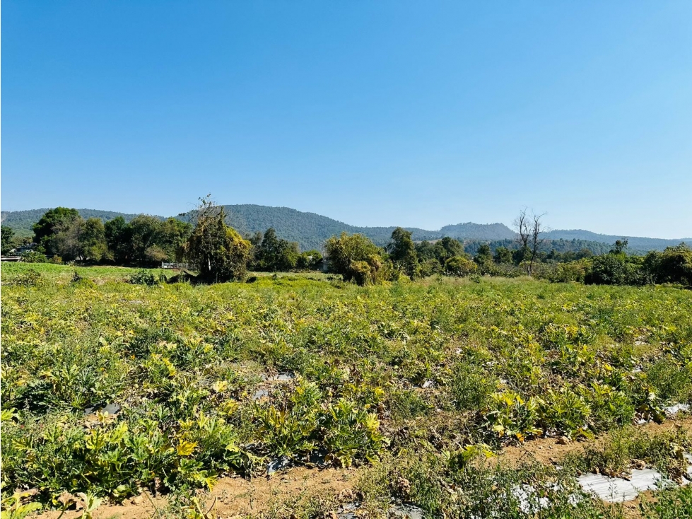 TERRENO CON VISTA PANORAMICA — foto 5