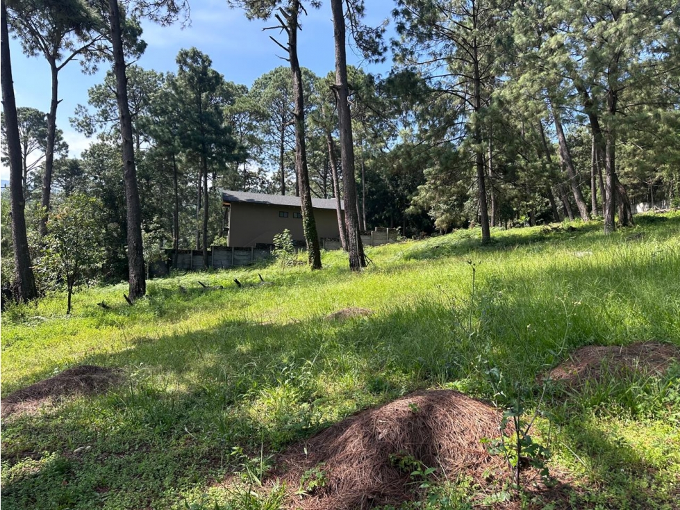 TERRENO EN AVANDARO de 5,675 m2. VISTA AL BOSQUE. — foto 3