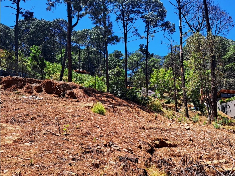 TERRENO EN VENTA CONDOMINIO EN AVANDARO — foto 3