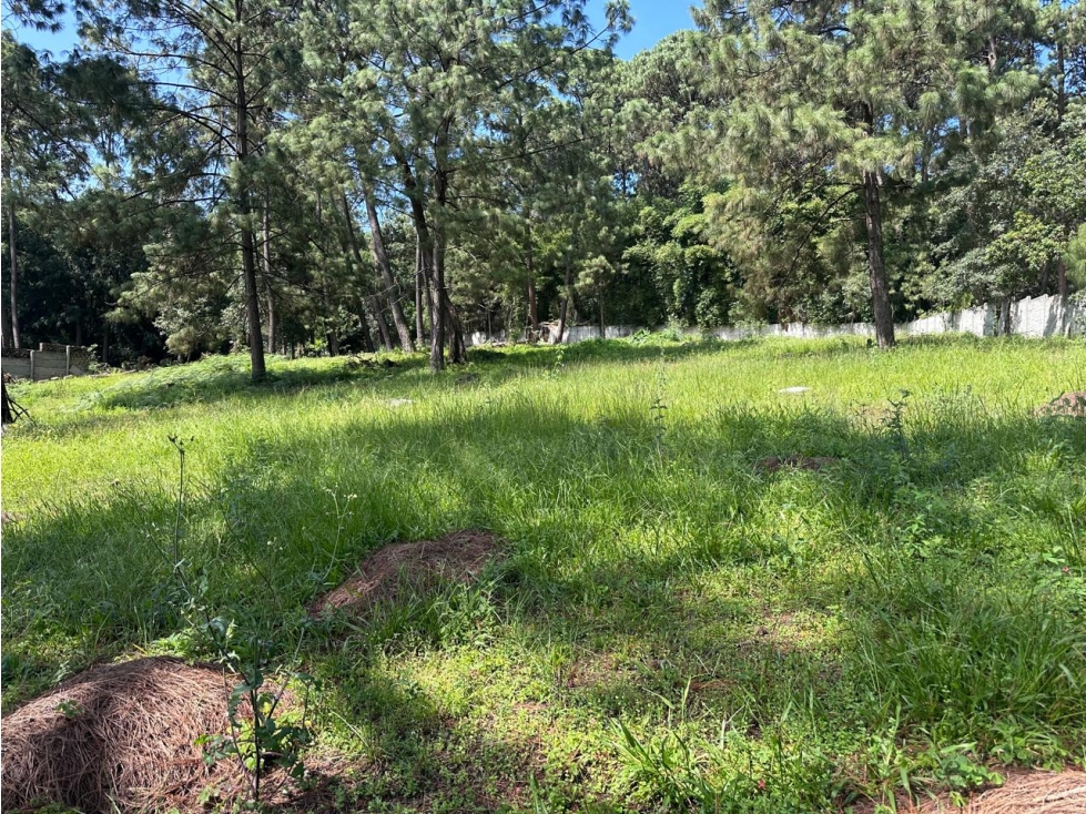 TERRENO EN AVANDARO de 5,675 m2. VISTA AL BOSQUE. — foto 6