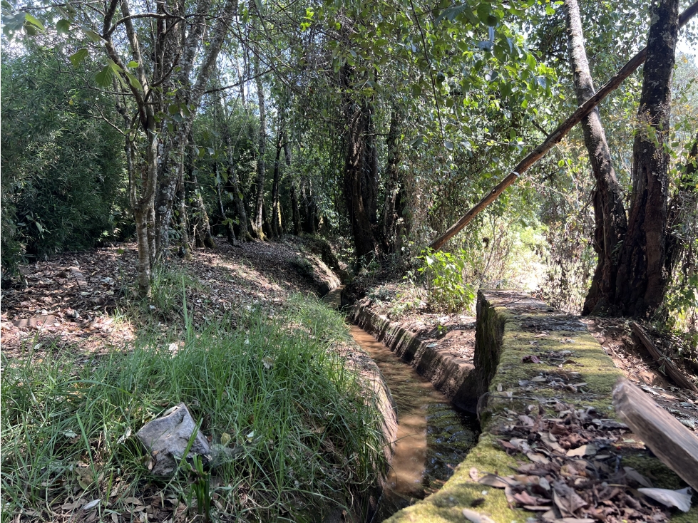 TERRENO EN VENTA SAN RAMÓN CON AGUA DE RIEGO — foto 2