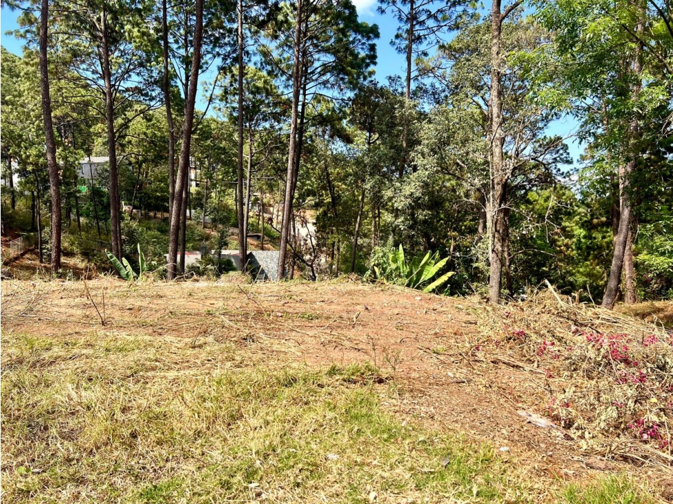 TERRENO PARA DESARROLLAR AVANDARO