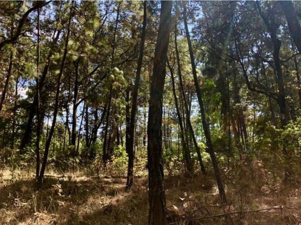 TERRENO EN VENTA AVANDARO (CIRCUITO AVÁNDARO) — foto 5