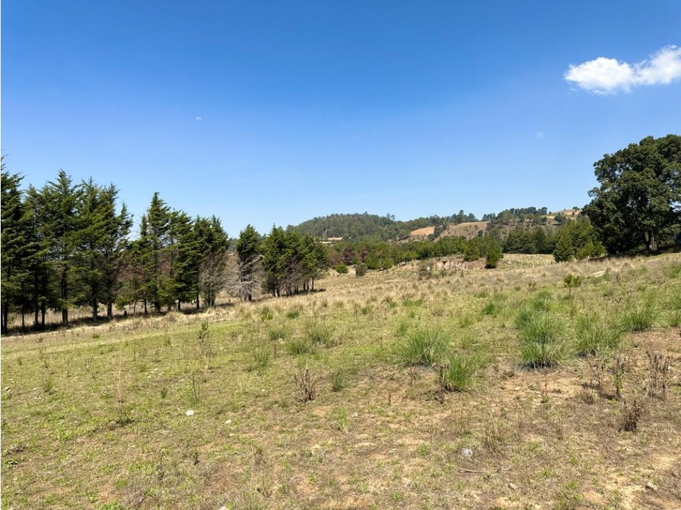 TERRENO EN VENTA EN SAN BARTOLO