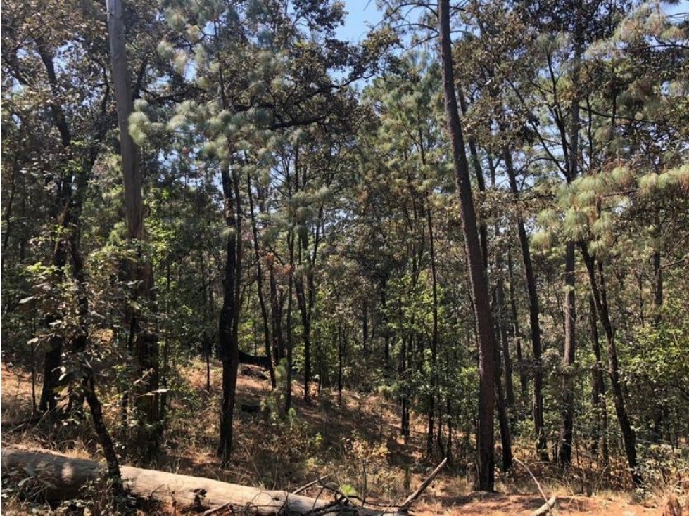 TERRENO EN VENTA AVANDARO (CIRCUITO AVÁNDARO) — foto 3