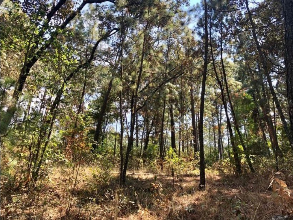 TERRENO EN VENTA AVANDARO (CIRCUITO AVÁNDARO) — foto 4