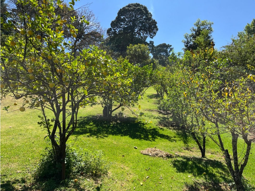 TERRENO EN VENTA AVÁNDARO — foto 6
