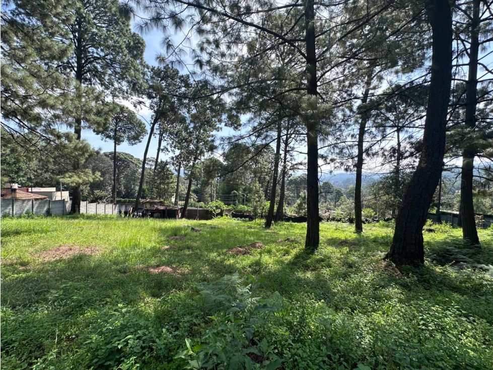 TERRENO EN AVANDARO de 5,675 m2. VISTA AL BOSQUE. — foto 2