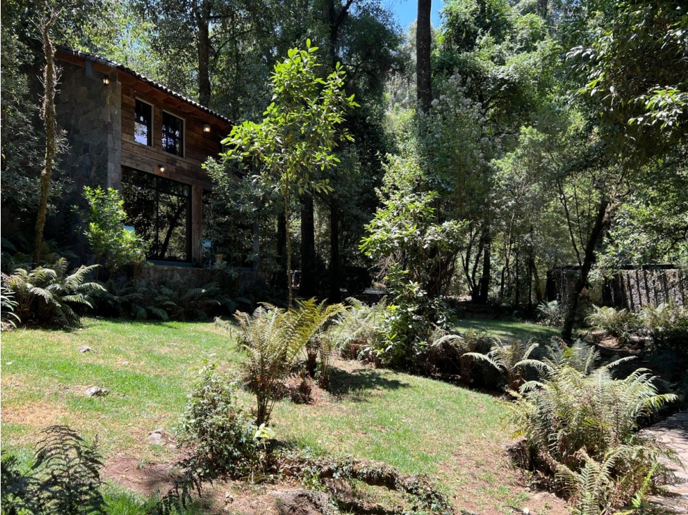 CASA RSS