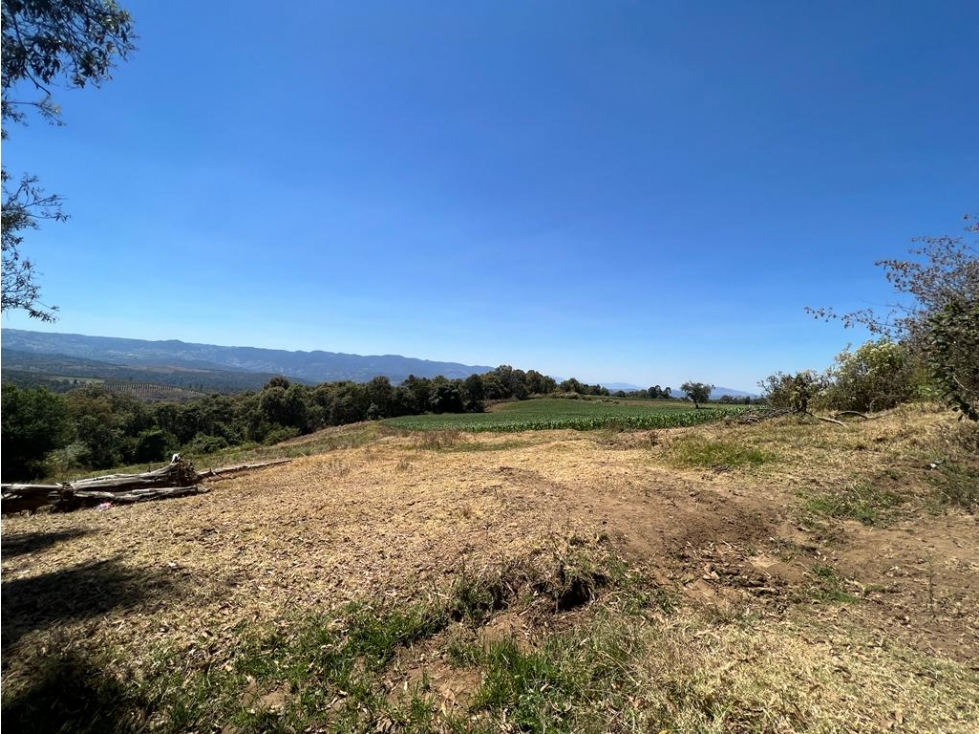 TERRENO 16 HECTÁREAS, MESA DE DOLORES, VALLE DE BRAVO — foto 3