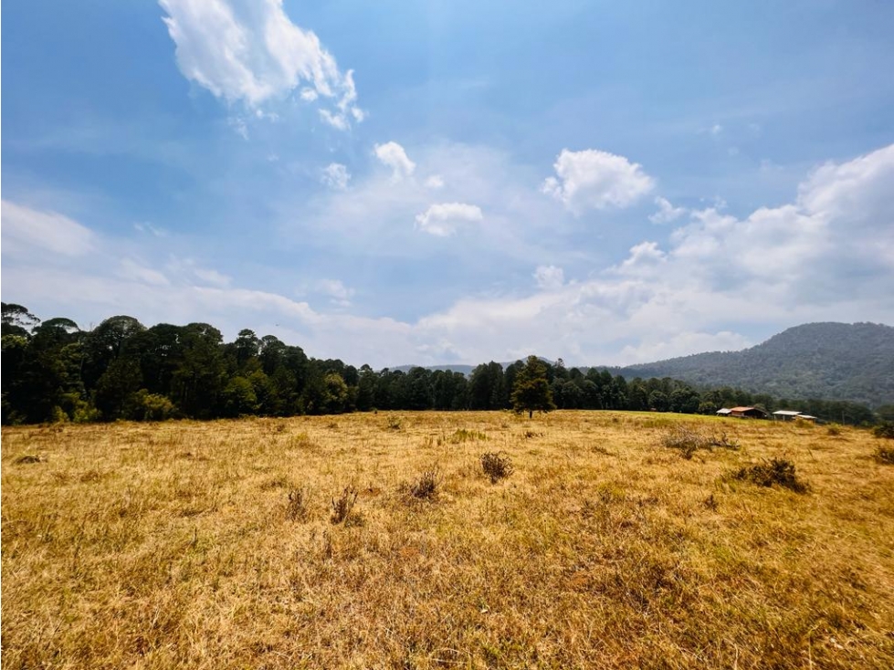 TERRENO EN VENTA EN VALLE DE BRAVO, SAUCOS. - 2