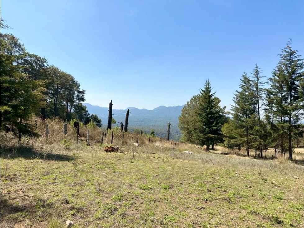 TERRENO EN VENTA EN SAN BARTOLO — foto 3