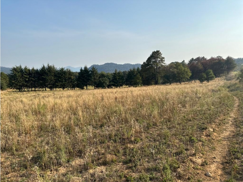 TERRENO DE TEMPORAL — foto 6