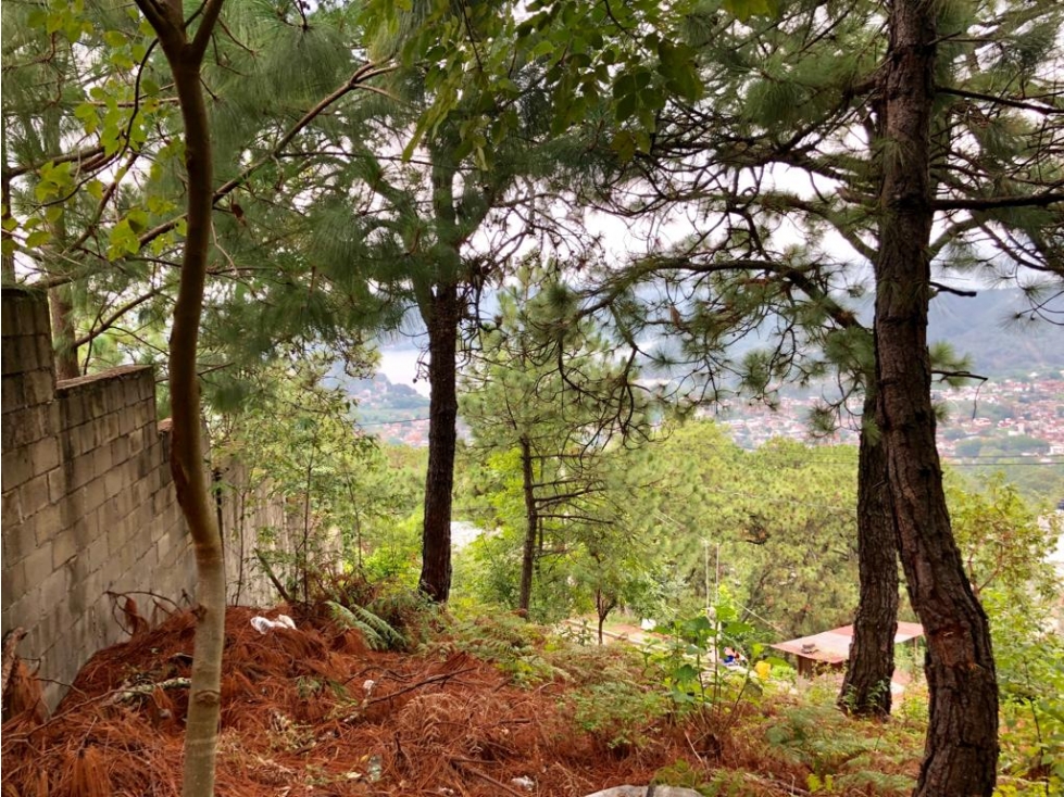 TERRENO MISIÓN — foto 3