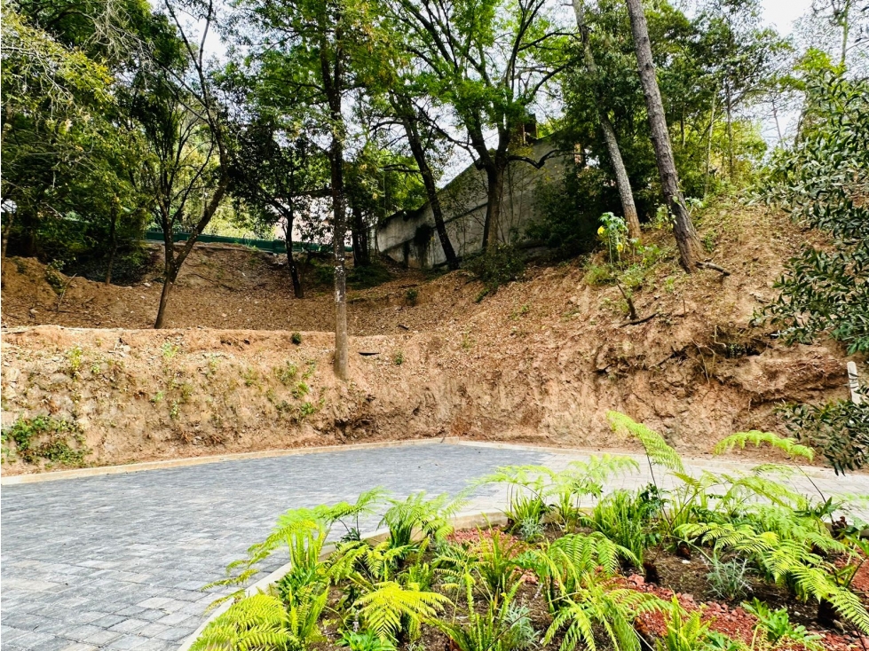 VENTA DE LOTES PRIVADA COPORITO — foto 3
