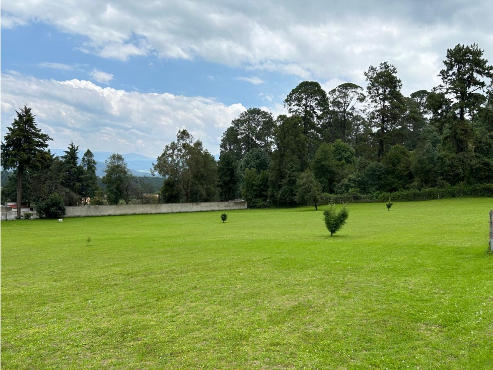 TERRENO EN CERRO GORDO — foto 2