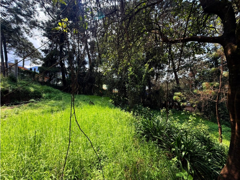 TERRENO CIRCUITO — foto 2