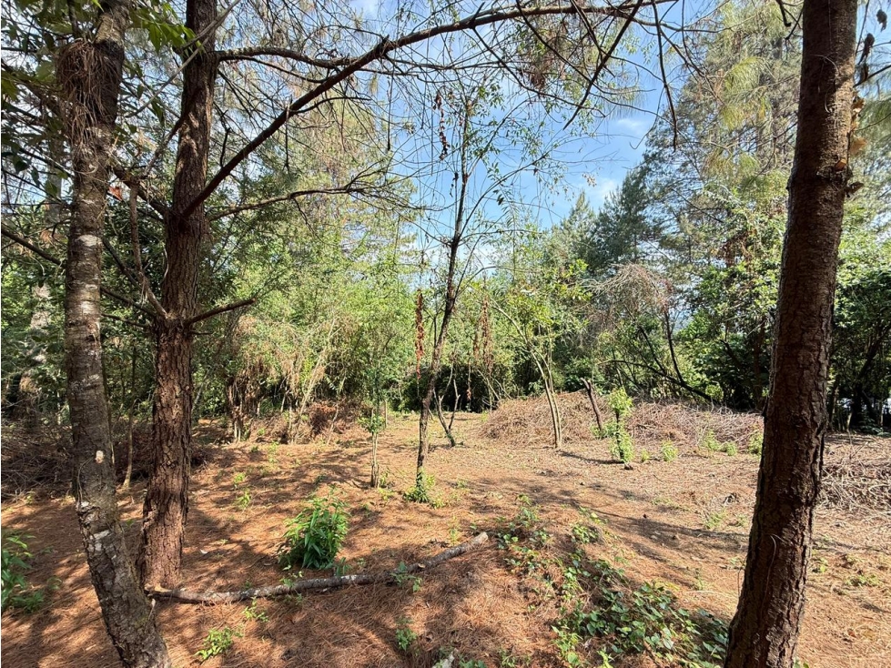 LOTE VALLE SANTANA — foto 4