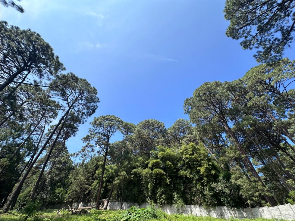 TERRENO EN AVANDARO de 5,675 m2. VISTA AL BOSQUE. — foto 5