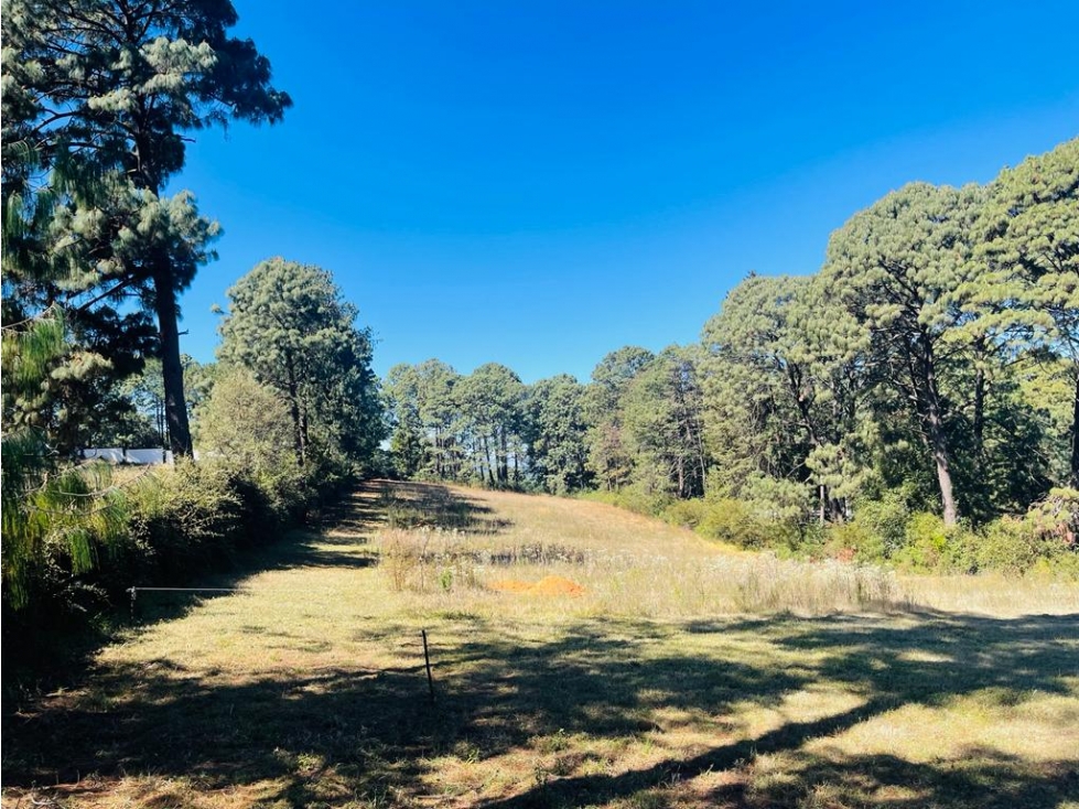 TERRENO CERRO COLORADO — foto 3