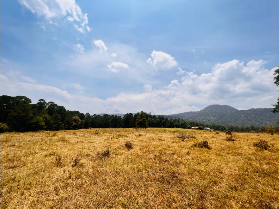 TERRENO EN VENTA EN VALLE DE BRAVO, SAUCOS. - 3