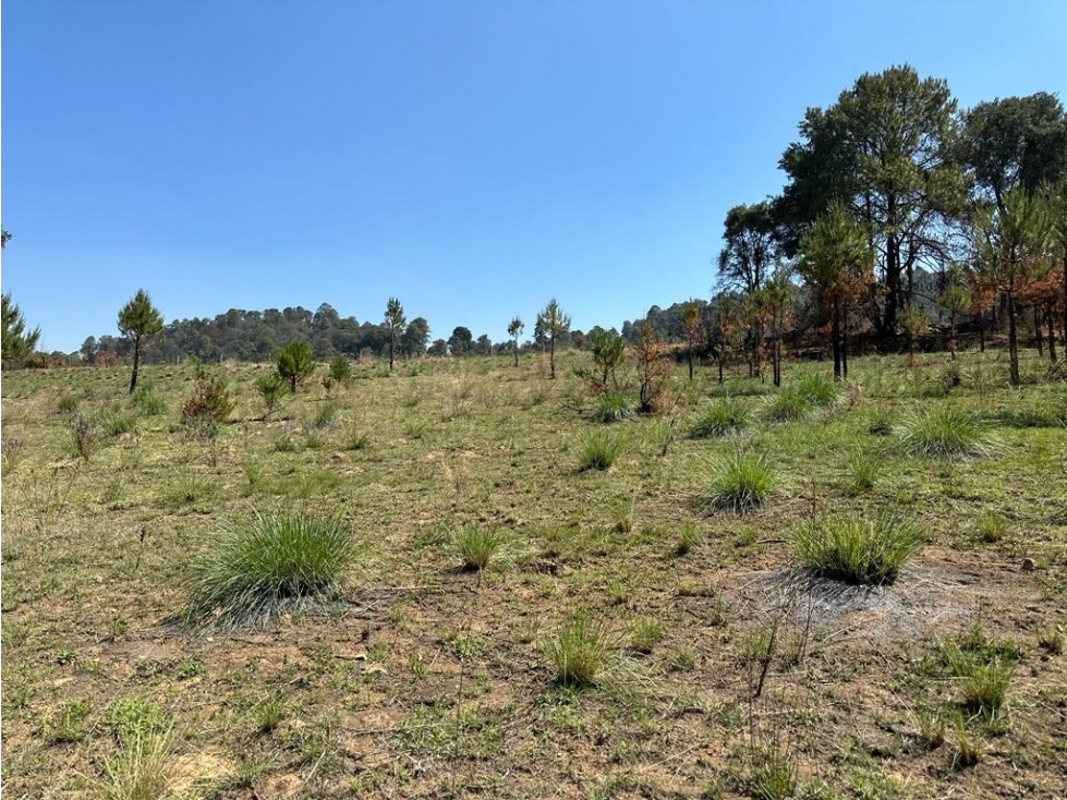 TERRENO EN VENTA EN SAN BARTOLO — foto 4