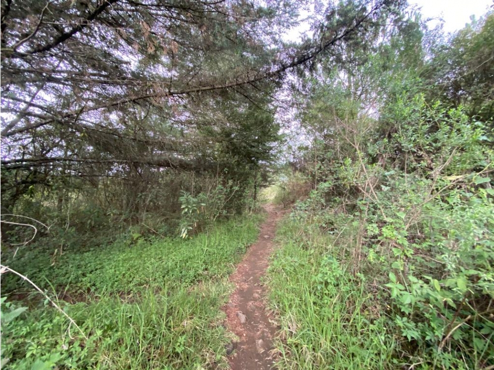 TERRENO EN FRACCIONAMIENTO 1 — foto 4