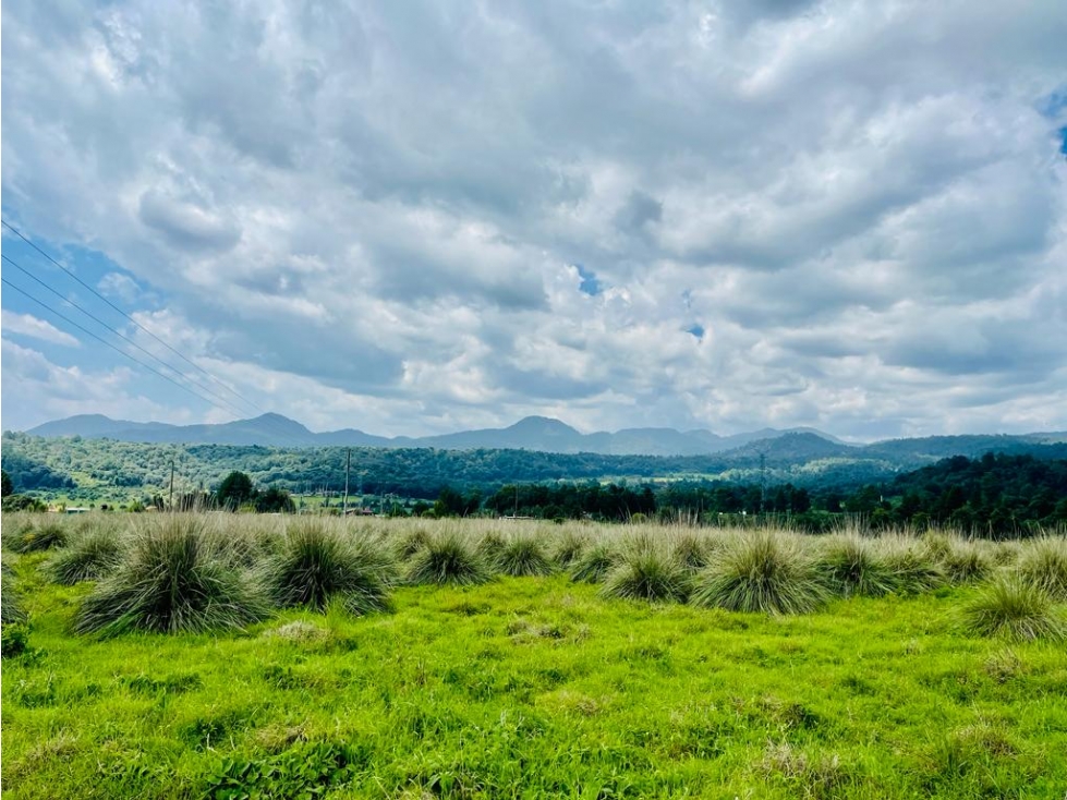 TERRENO EN VENTA, VALLE SANTANA. — foto 5